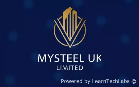 Review of Mysteel UK Limited Company